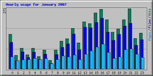 Hourly usage for January 2007