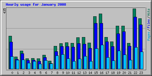 Hourly usage for January 2008